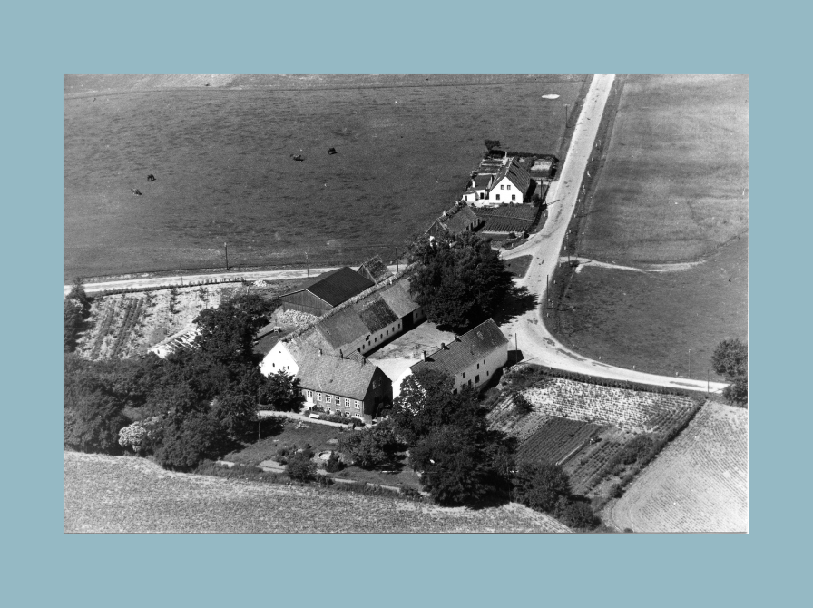 Luftfoto Pibe Møllegård, 1947.